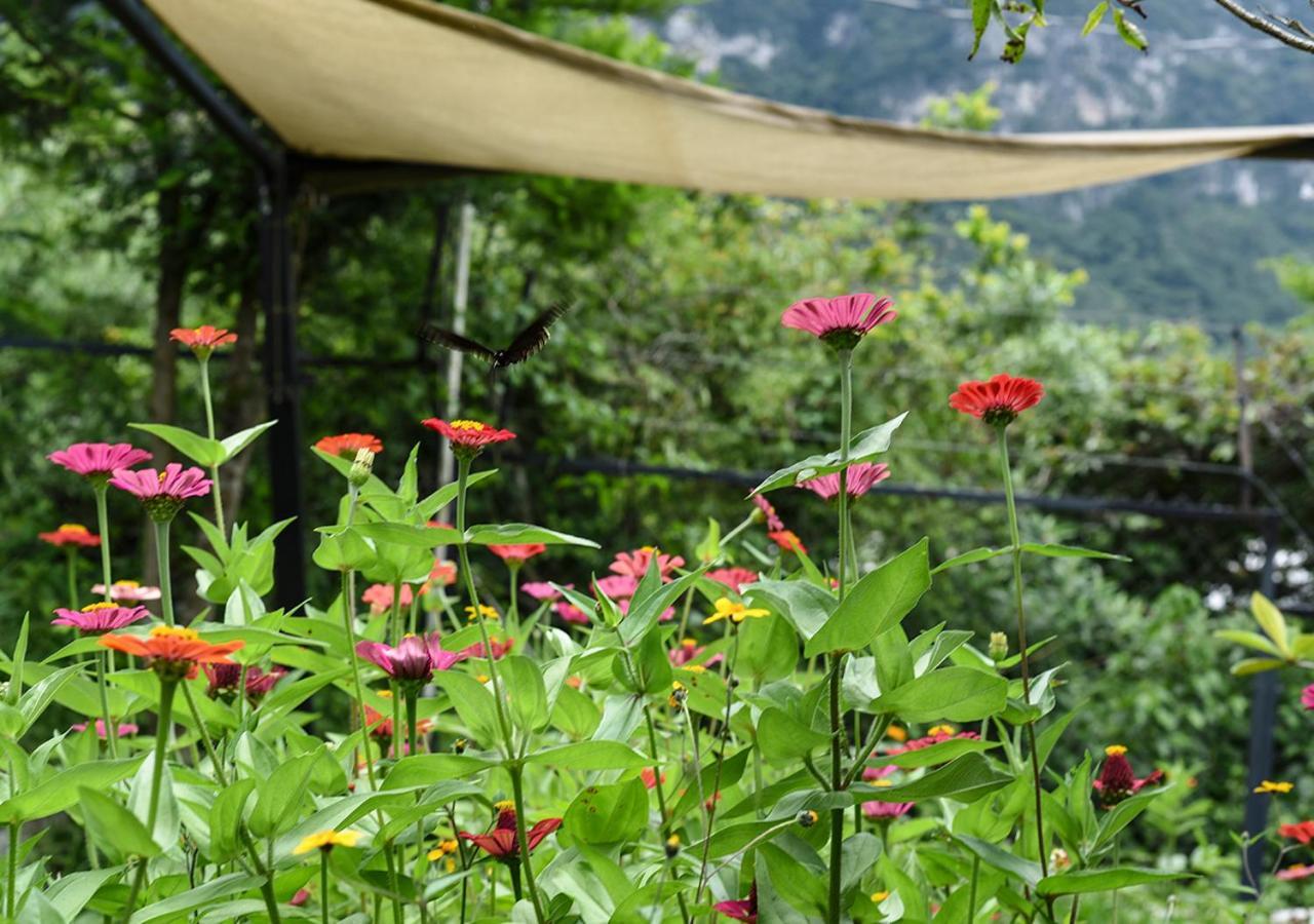 Cabanas Yei Calli Ciudad Mendoza Экстерьер фото